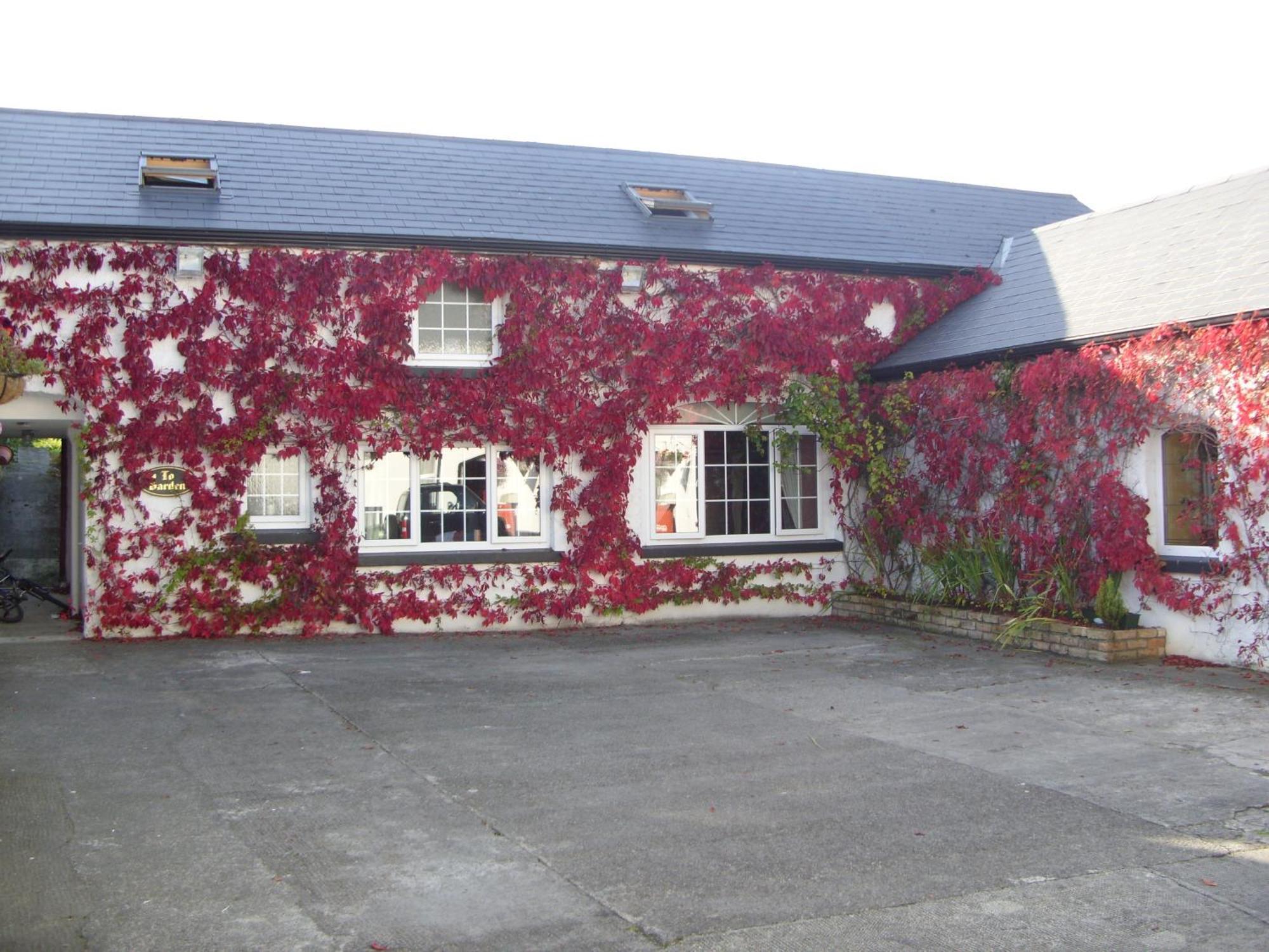 Townsend House Guest House Birr Dış mekan fotoğraf