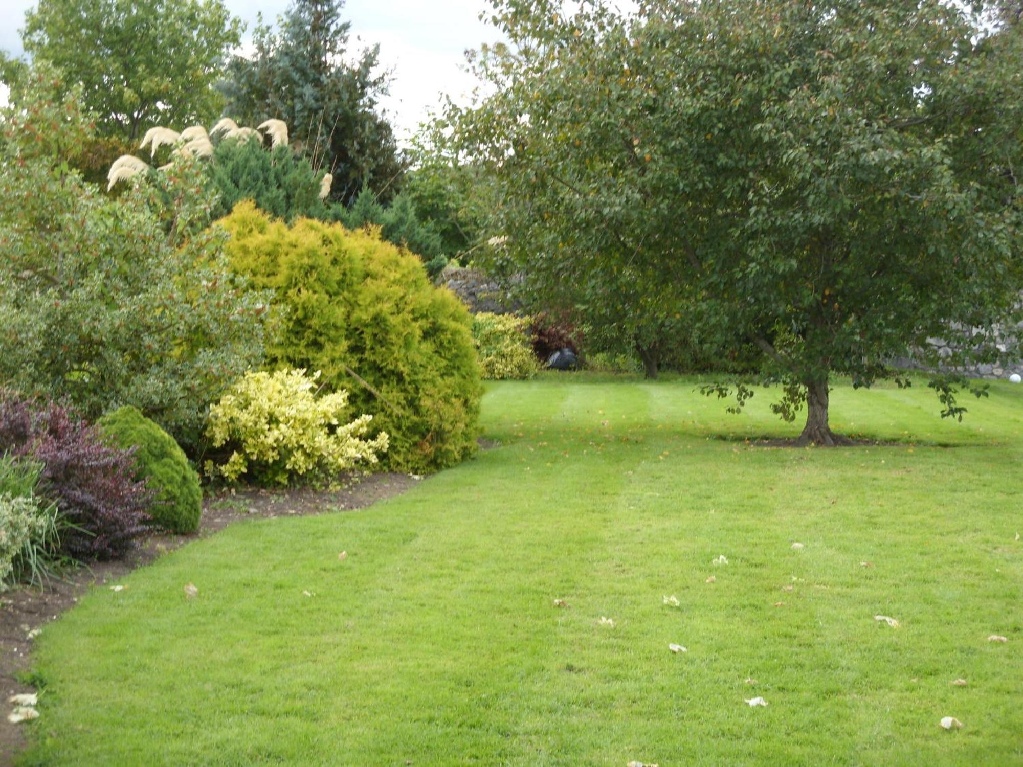 Townsend House Guest House Birr Dış mekan fotoğraf